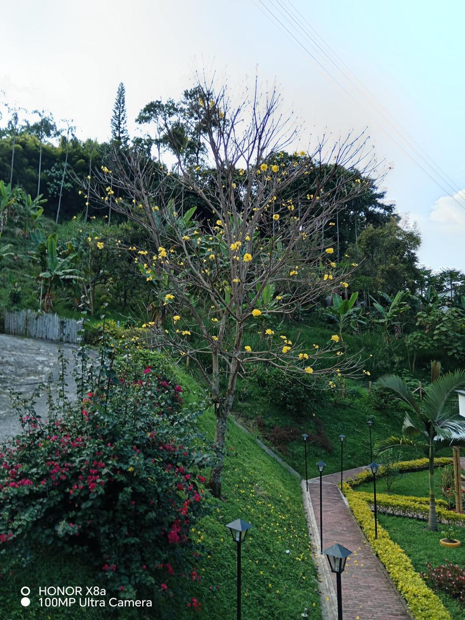 Hospedaje Campestre Providencia Villa Manizales Buitenkant foto